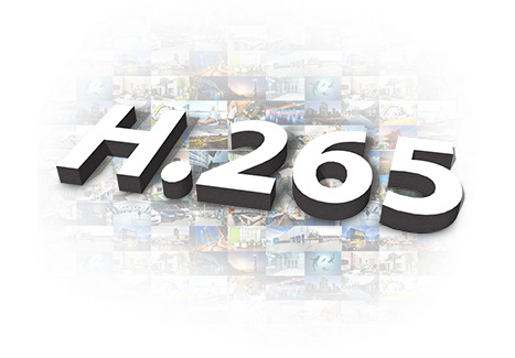 Kamera IP wandaloodporna z detektorem PIR NVIP-2VE-4231/PIR Kamera IP wandaloodporna z detektorem PIR NVIP-2VE-4231/PIR