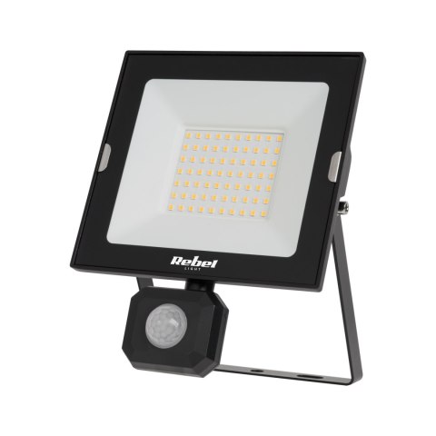 Reflektor LED 50W z sensorem zmierzchu i ruchu, 4000K, 230V